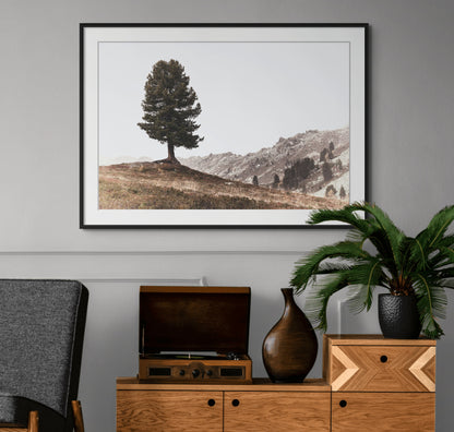 Lonely Tree - Framed Wall Art