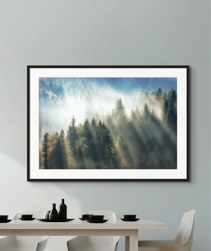 Morning Mist - Framed Wall Art