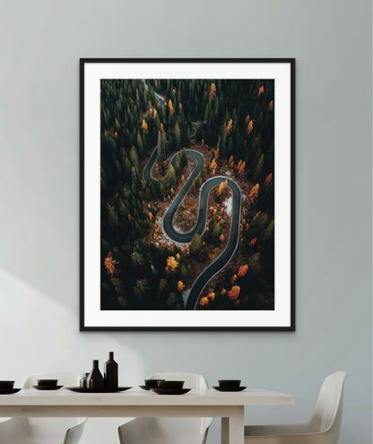Snake Turn - Framed Wall Art
