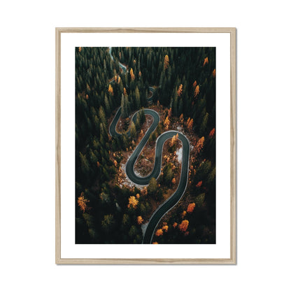 Snake Turn - Framed Wall Art